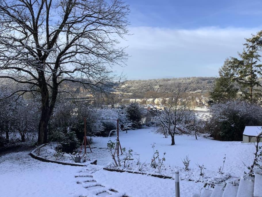 Ueber Den Daechern Von Koblenz - Aussichts-Wohnung Naturpark Rheinblick, Ruhig, Zentrumsnah, Sport-Pool Koblenz (Rhineland-Palatinate) Exterior foto